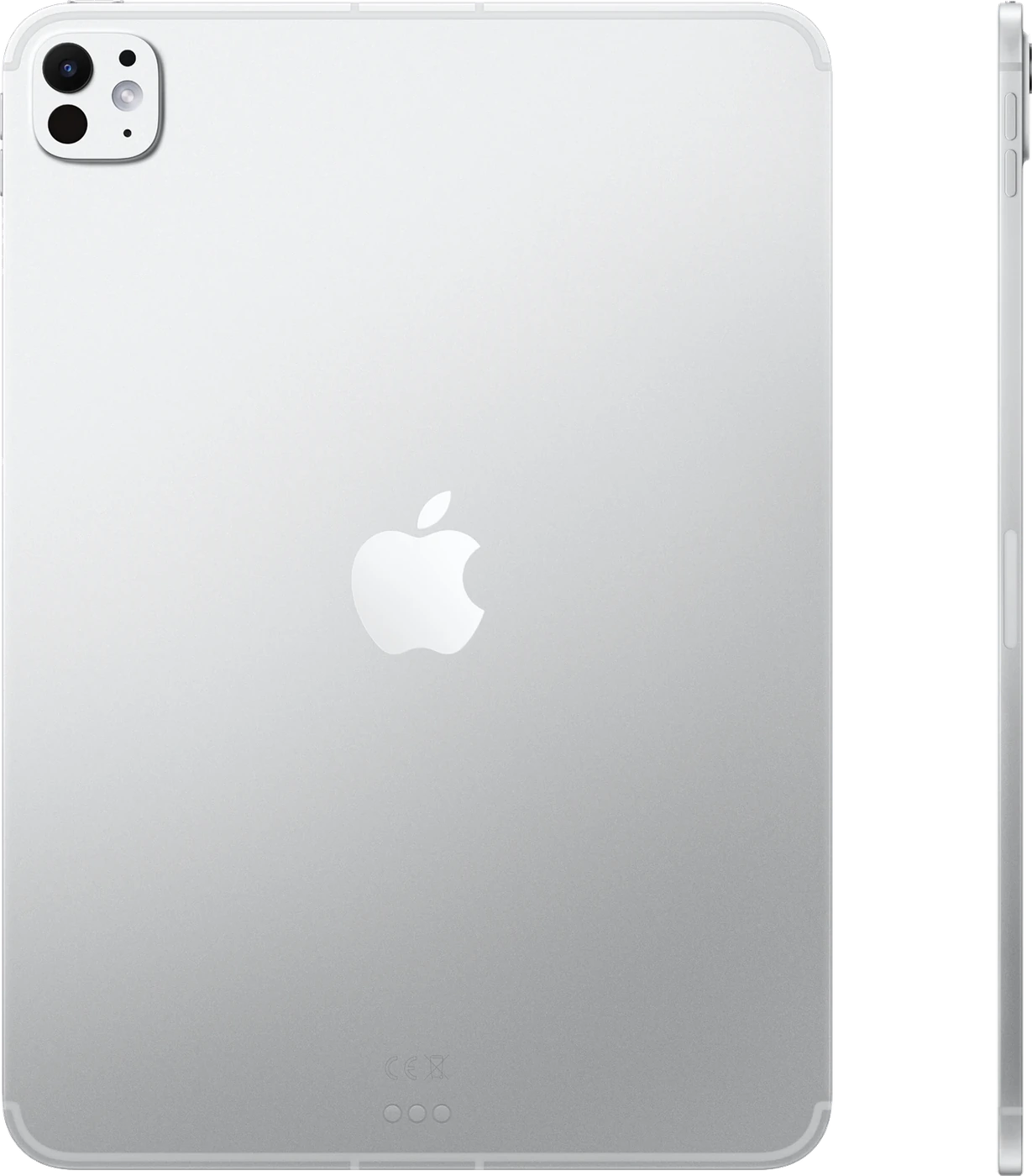 iPad Pro